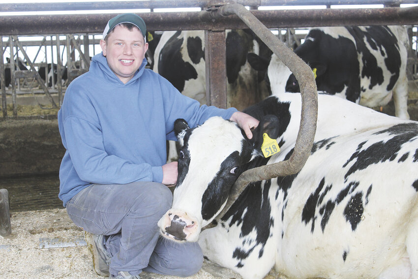 Kyle Krueger scratches a Holstein cow April 21 at the 85-cow Riverbank Dairy near Clintonville, Wisconsin. Krueger, along with his mom, Heather, are rebuilding the herd that was sold when his late dad, Marty, was sick with cancer.