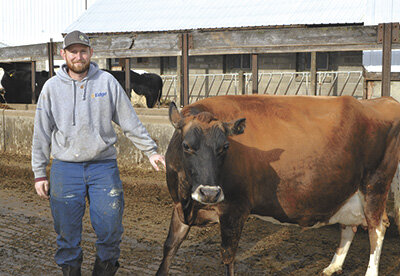Casey Pfaff greets his favorite show cow, Gracious Choice, Dec. 1 on his farm near Alma Center, Wisconsin. PHOTO BY ABBY WIEDMEYER