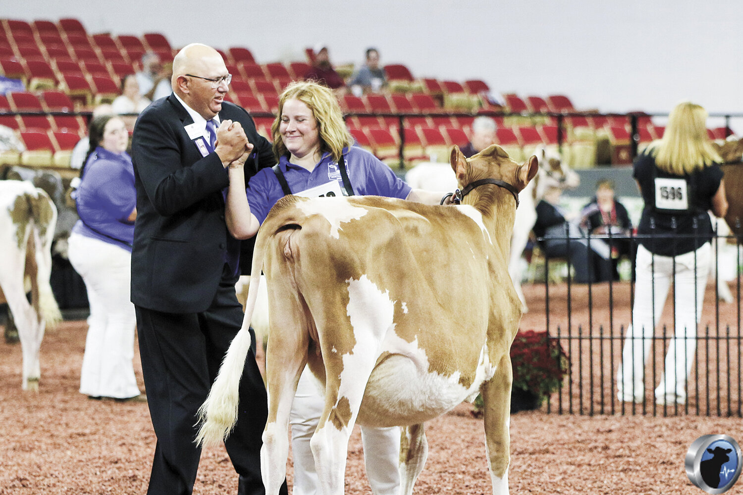 Judge Kevin Hartmann congratulates Haley Beukema as he names her Guernsey winter calf, CB VG Jack Dont Forget Me-ETV, the junior champion of the International Guernsey Show Oct. 2 at World Dairy Expo in Madison, Wisconsin. The calf was also named junior champion in the youth division.