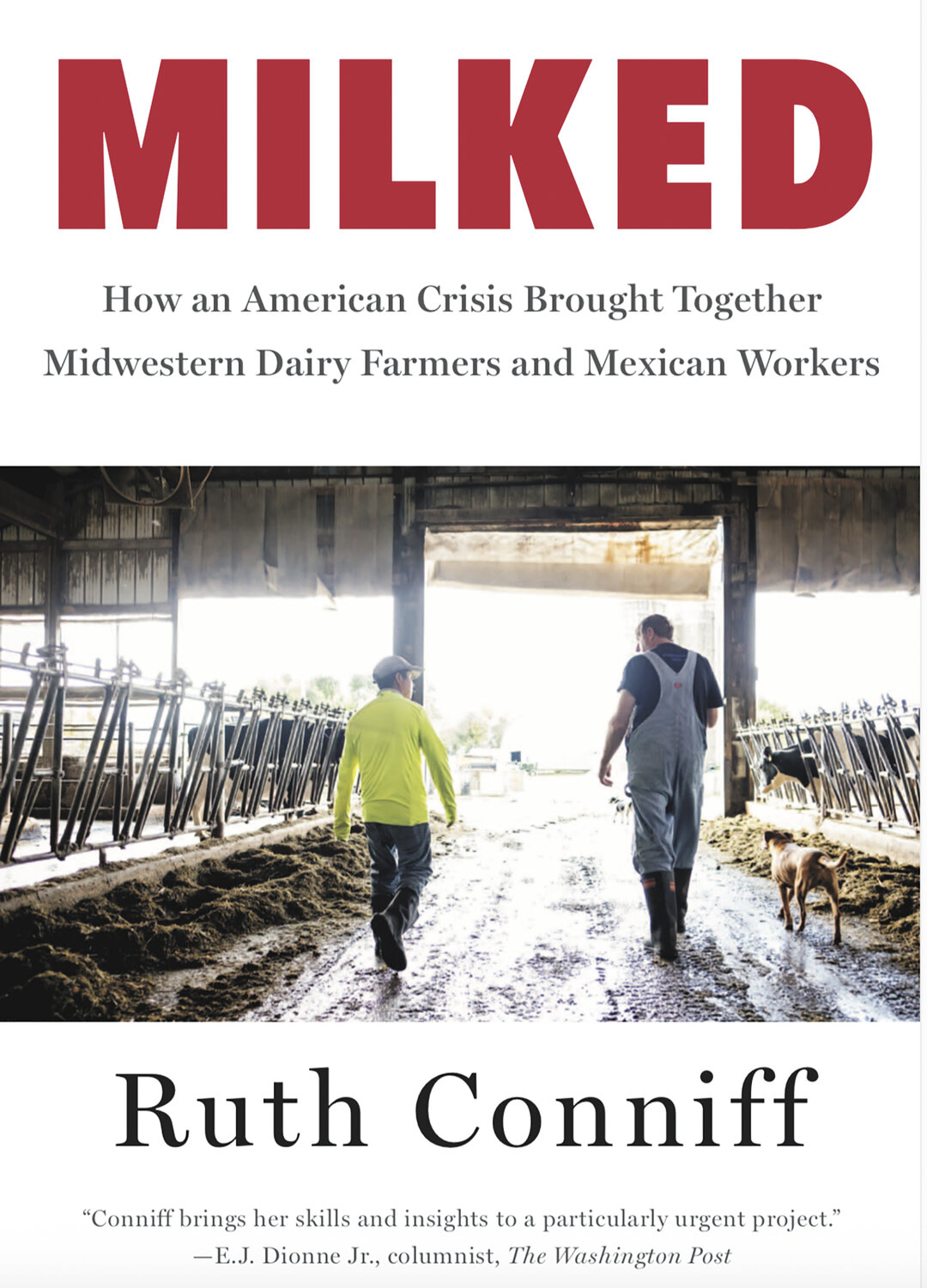 The cover art of “Milked,” by Ruth Conniff, pictures a dairy farmer and an immigrant employee. The book approaches the topics of immigration policy, political leanings, pressure to expand, the idea of economically sustainable farms, racism and local food, all through the lens of the individual people who populate these interconnected themes.