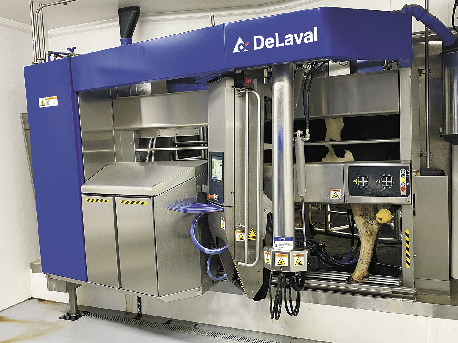 A cow gets milked Nov. 3 by one of the 20 DeLaval robots at Mitch Moorlag’s dairy near Lynden, Washington. Cows average 3.2 milkings per day, and Moorlag has seen a 4% increase in milk production with cows sustaining peak milk longer.