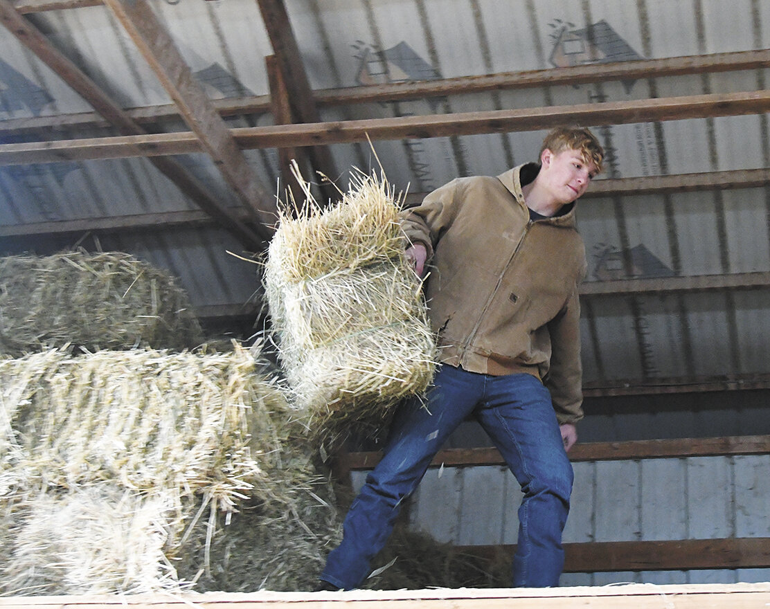 William Carlson grabs a bale of hay Oct. 30 to feed the goats on his family’s farm near Houston, Minnesota. Carlson is the primary caretaker of the herd, finding time between his extracurricular school activities and being active in 4-H, including serving as a Minnesota 4-H agriculture ambassador.