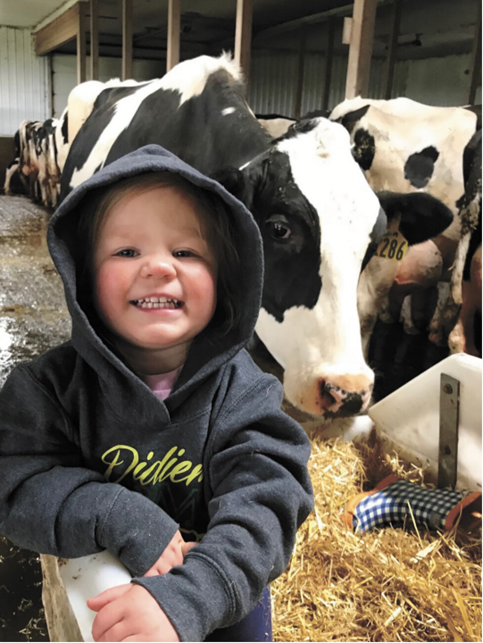 Norah Didier pauses by the cows on her family’s dairy farm near Osakis, Minnesota. The Didier family was named Todd County’s 2023 Outstanding Conservationists.