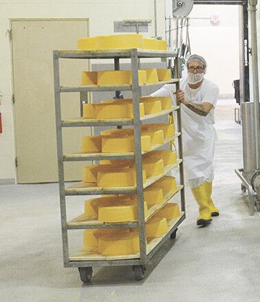 An employee moves a cart of cheese to a drying room for curing Oct. 26 at Henning’s Cheese in Kiel, Wisconsin. Henning’s makes cheddar, colby, Monterey Jack, farmers, mozzarella and gouda cheese along with approximately 26 flavors, such as apple, garlic dill, onion chive and tomato basil.