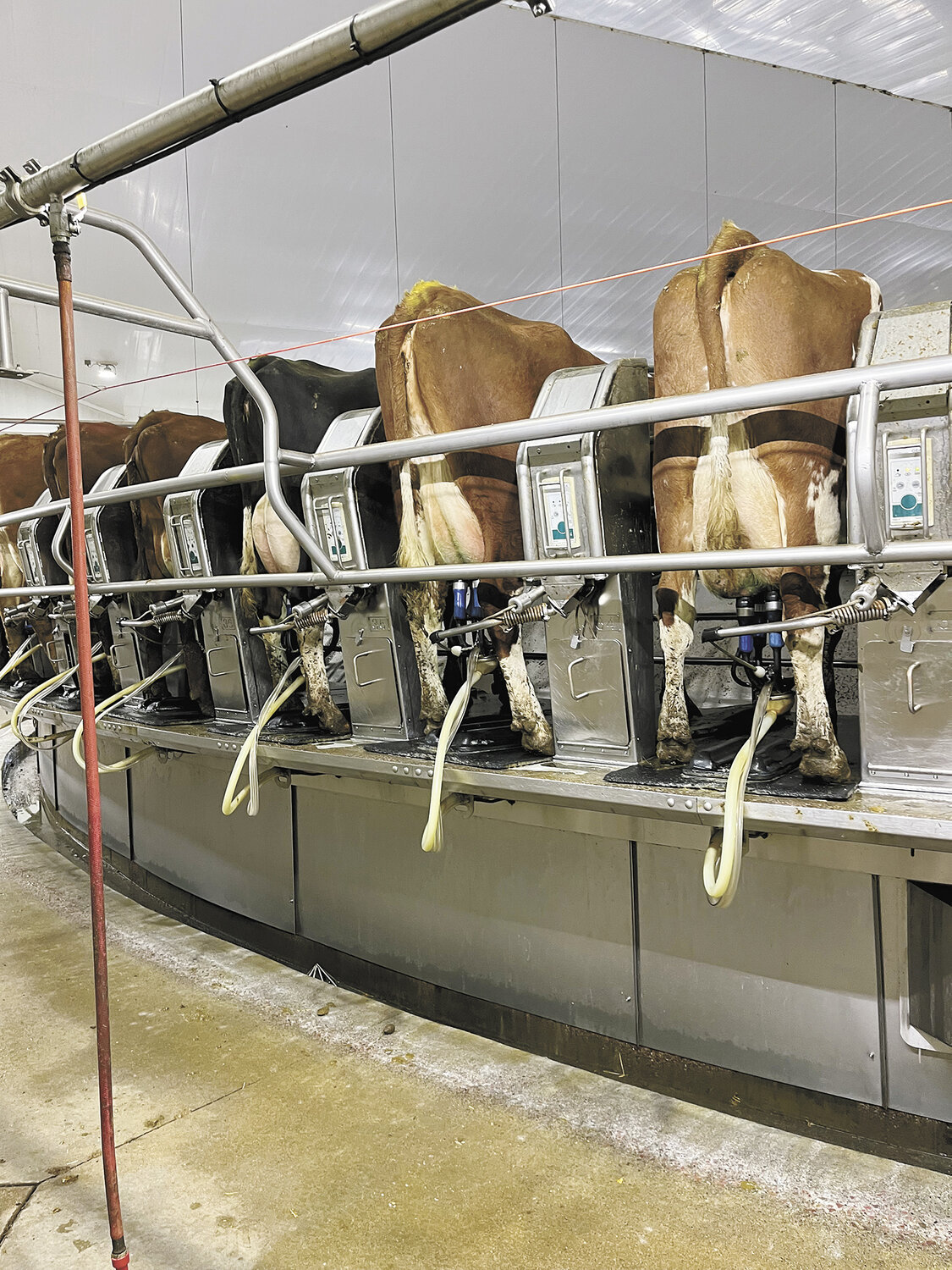 Tri-Cross Dairy’s plan for success - Dairy Star