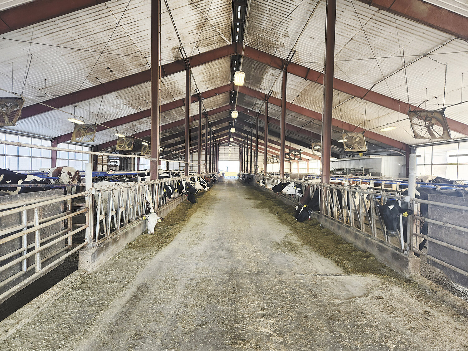The barn at Pioneer Farm at the University of Wisconsin-Platteville houses 200 cows Jan. 31 near Platteville, Wisconsin. Half the herd is milked in a double-5 herringbone parlor, and the other half is milked in two Lely A5 robotic milking systems.