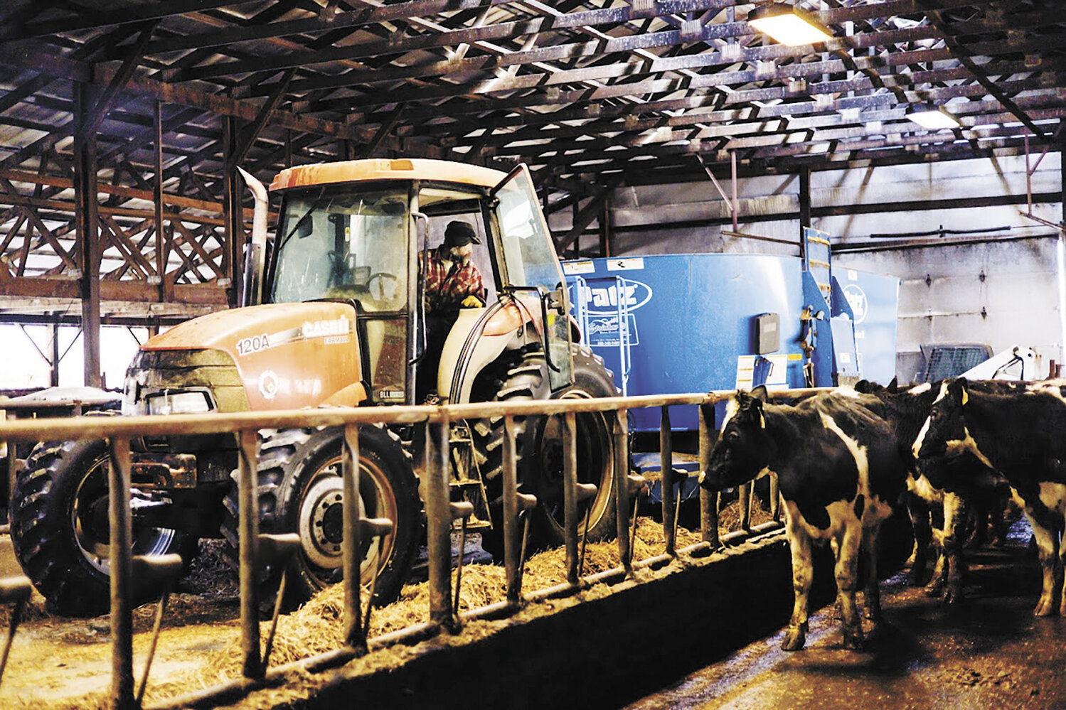 Randy Dornbusch drives a tractor to feed the heifers Feb. 27, 2022, at the farm near Perham, Minnesota. Dornbusch runs the farm with the help of his wife, Wendy, and daughter, Carolyn. Wendy’s children, Annalee and Nathaniel, helped when they lived at the farm.