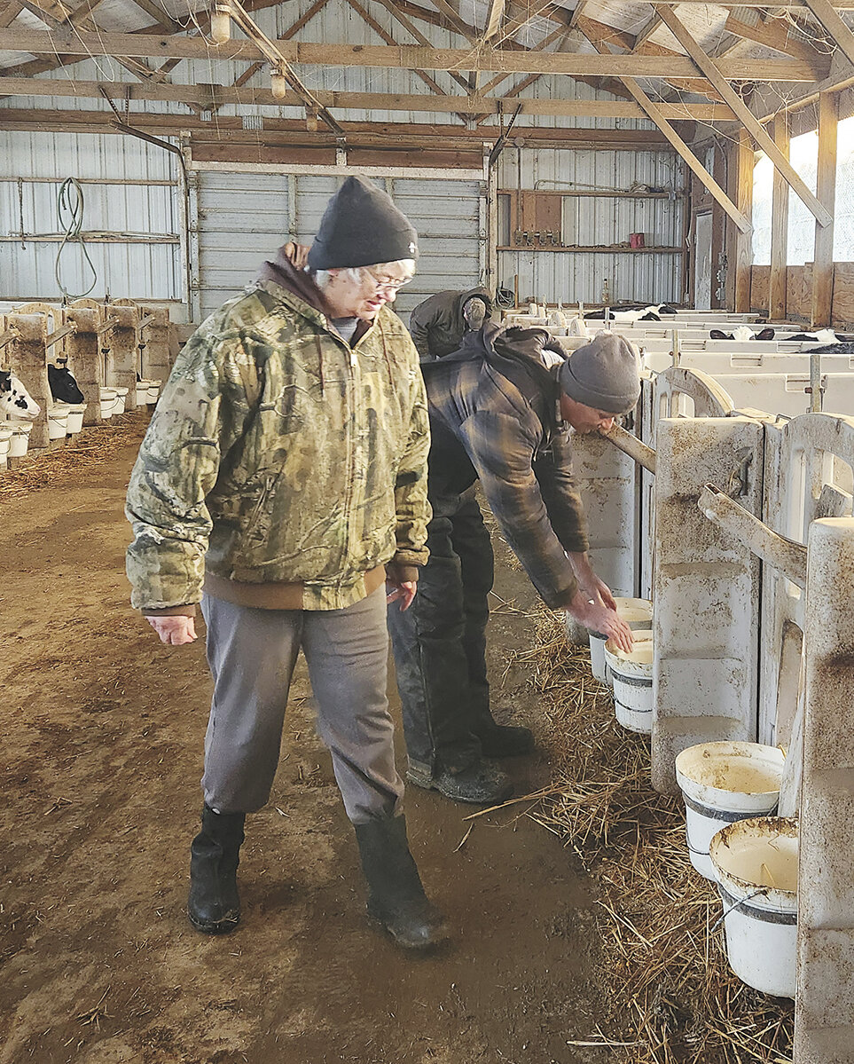 Carol and Don Beringer feed calves Jan. 29 at their farm near Farley, Iowa. The calf barn is one of many buildings that were added to the farm after the Beringers moved to it in 1952.