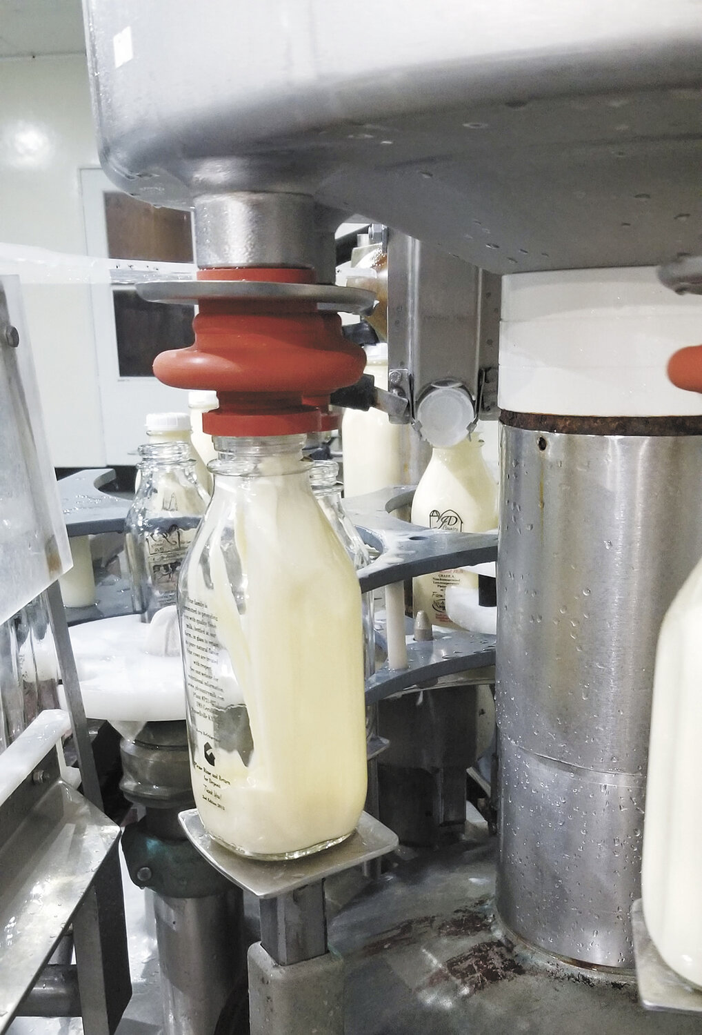 A machine fills a glass bottle of milk at JD Country Milk near Russellville, Kentucky. JD Country Milk sells whole milk, 2% milk, skim milk and chocolate milk in glass bottles, as well as cream, half and half and buttermilk. Seasonally, they offer strawberry milk made with actual strawberries, drinkable yogurt and eggnog.