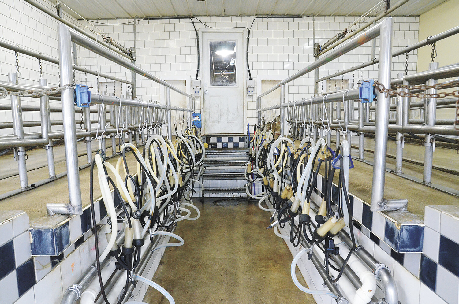 The Dooleys milk their goats twice a day in a double-15 parallel parlor that was completed in 2000 on their farm near Orfordville, Wisconsin. At the time it was built, there were few new facilities for commercial goat herds in Wisconsin.
