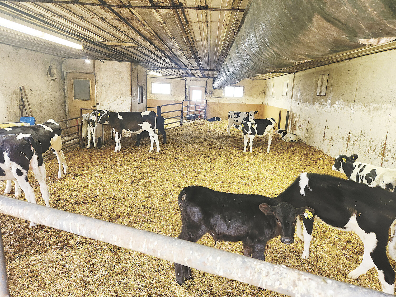 Farm transition gone right - Dairy Star