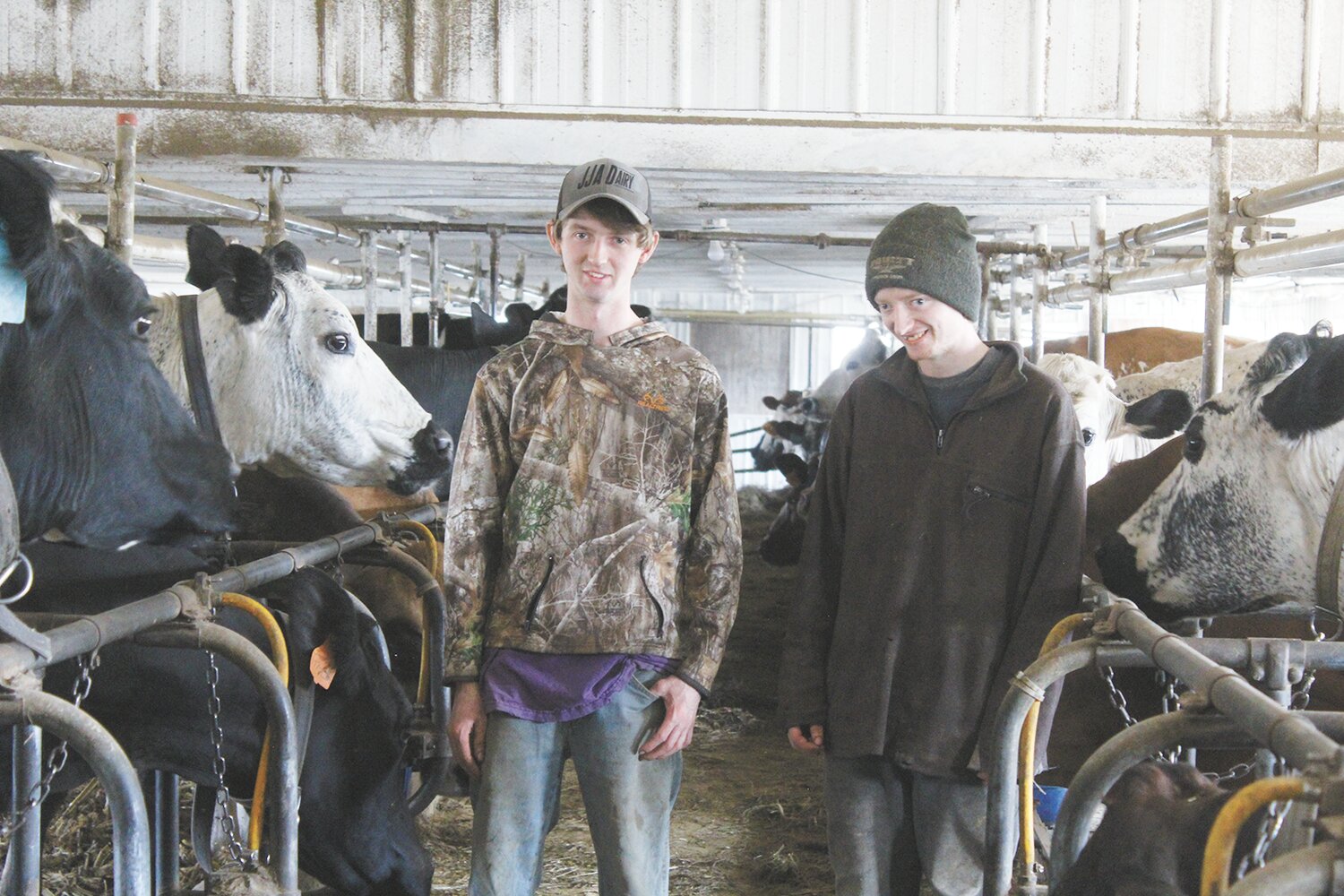 Colored cows, family traditions - Dairy Star
