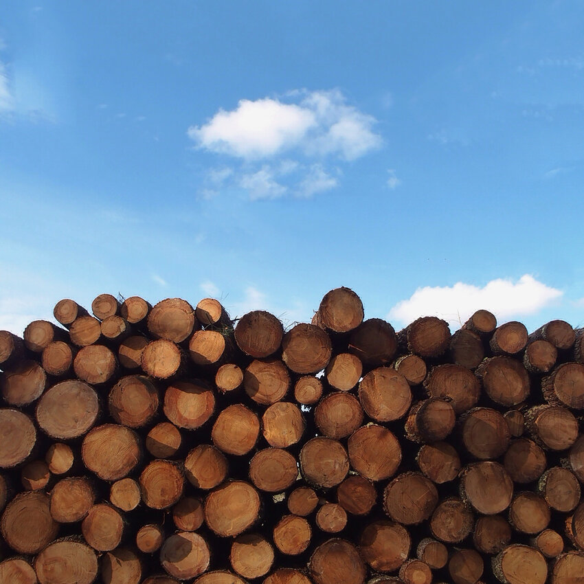 Stacks Of Logs Against Sky