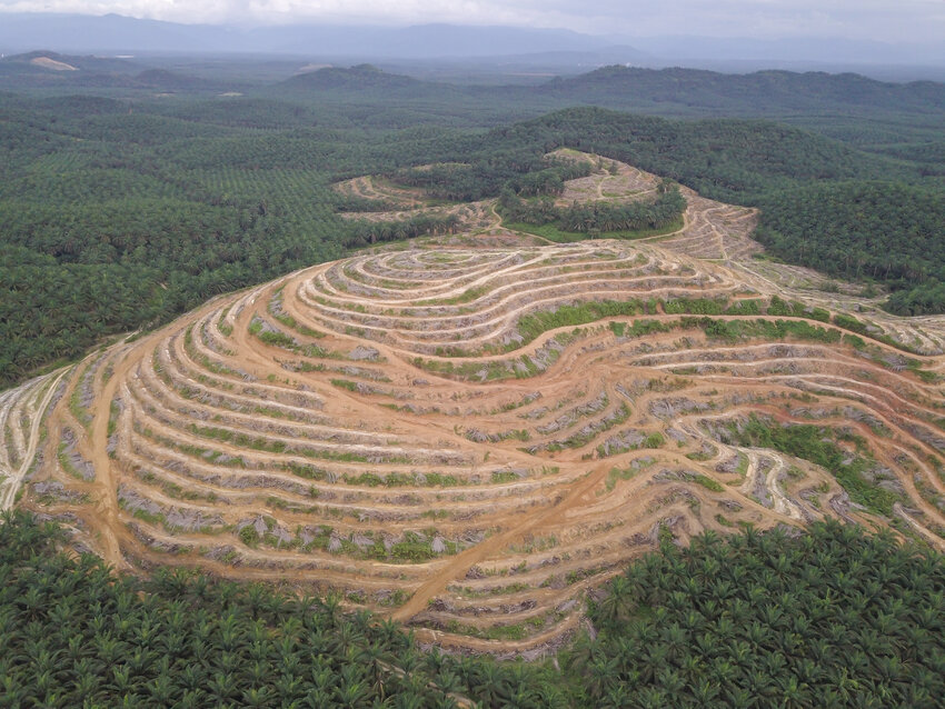 Aerial view land clearing at oil palm estate at Kedah, Malaysia