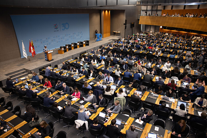 Delegates at the 30th Anniversary Session