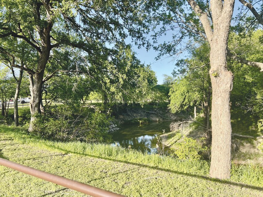 Brush and tree limbs have been cleared, and a view of the river can now be seen at the entrance to the lower portion of Faunt Le Roy Park.