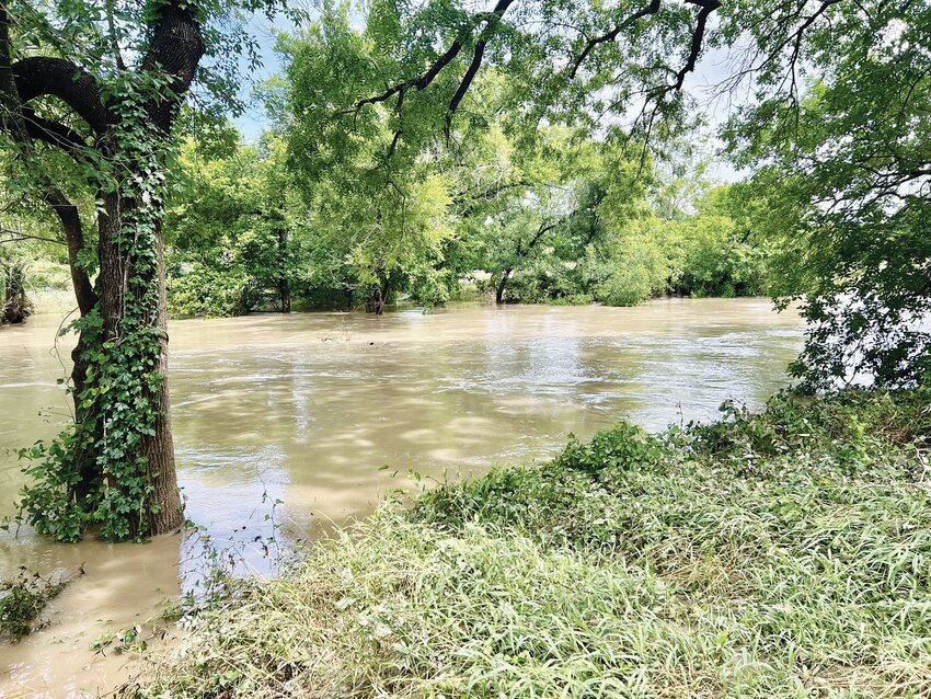 Flooding took place at Faunt Le Roy and Brown Park yesterday due to flooding of the Leon River.