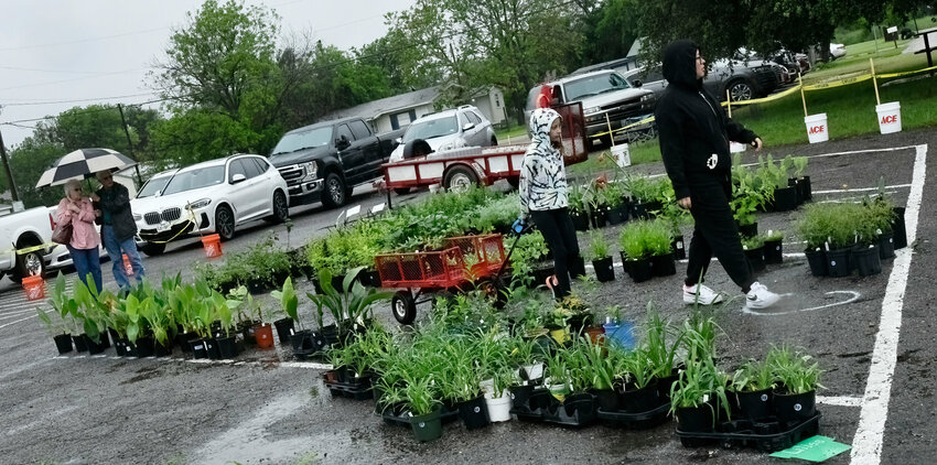 The much-anticipated Lake Granbury Master Gardeners’ (LGMC) plant sale takes place at the group's demonstration garden Saturday, April 12 from 8 a.m. to noon or whenever all the plants are sold, whichever comes first