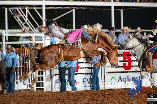 Stampede features the world's 36 best bronc riders!