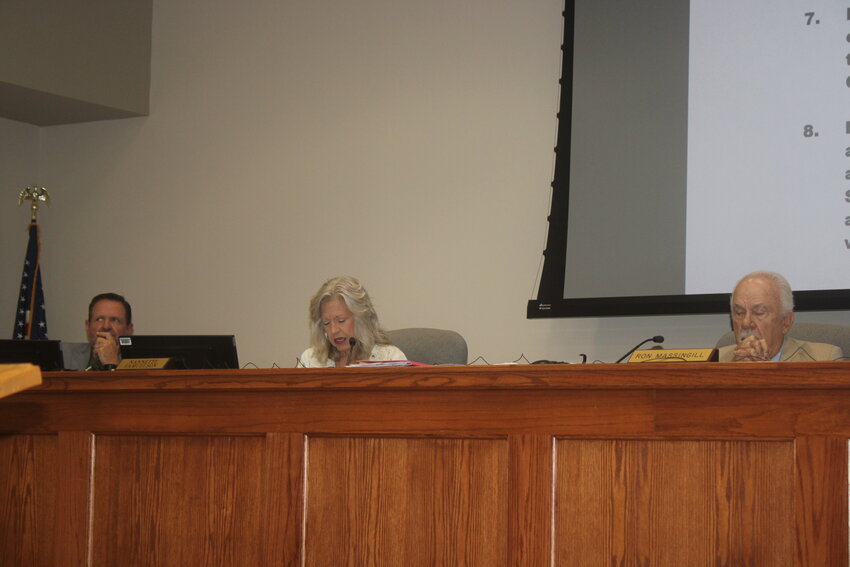Precinct 2 Commissioner Nannette Samuelson speaks about implementing a temporary IT oversight committee, during a regular meeting June 10.