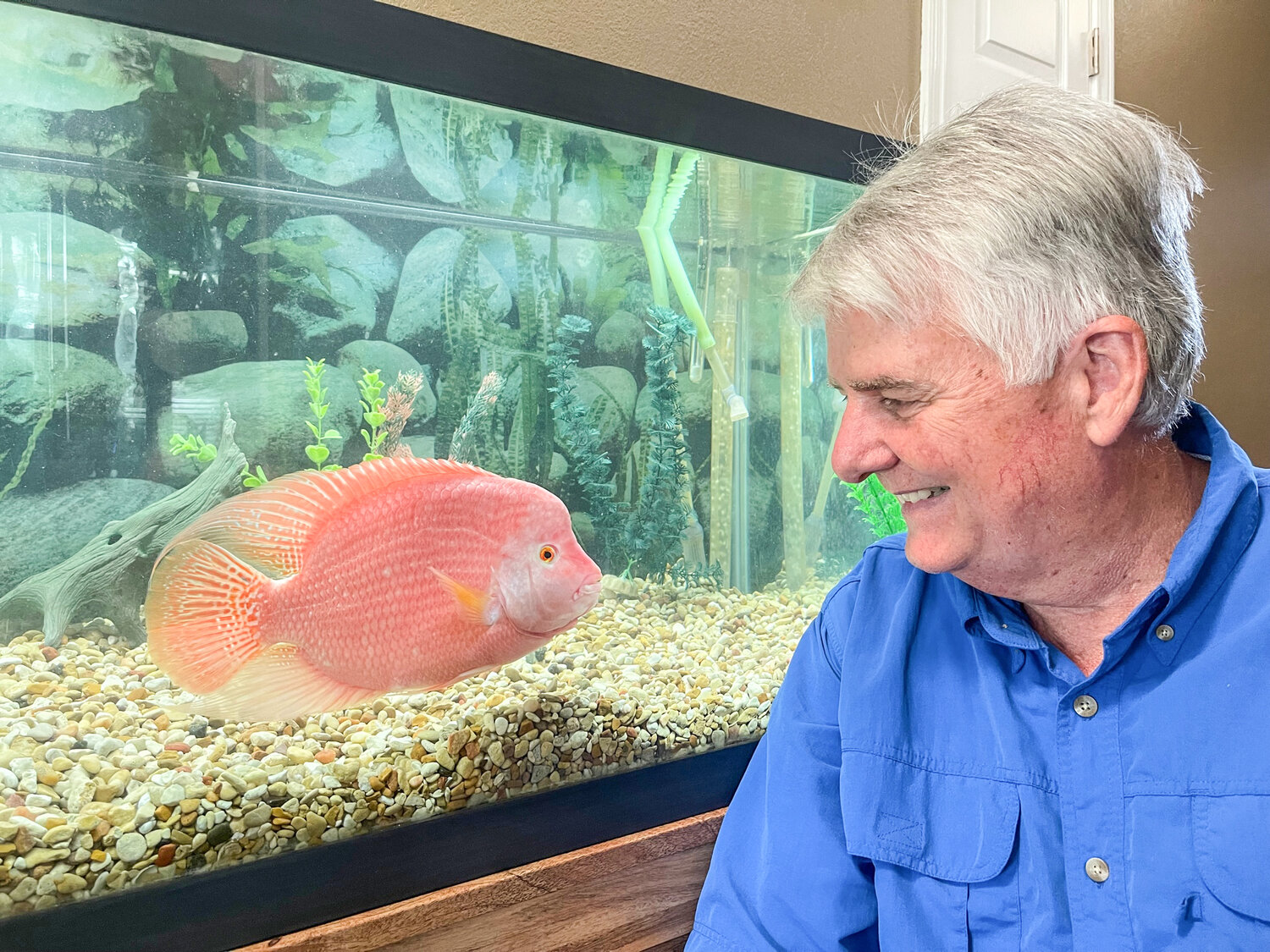 Barry Osborn with Cheeto, the three-spot cichlid hybrid he caught in Lake Granbury. It is believed to be the first fish of its kind ever caught in the United States.