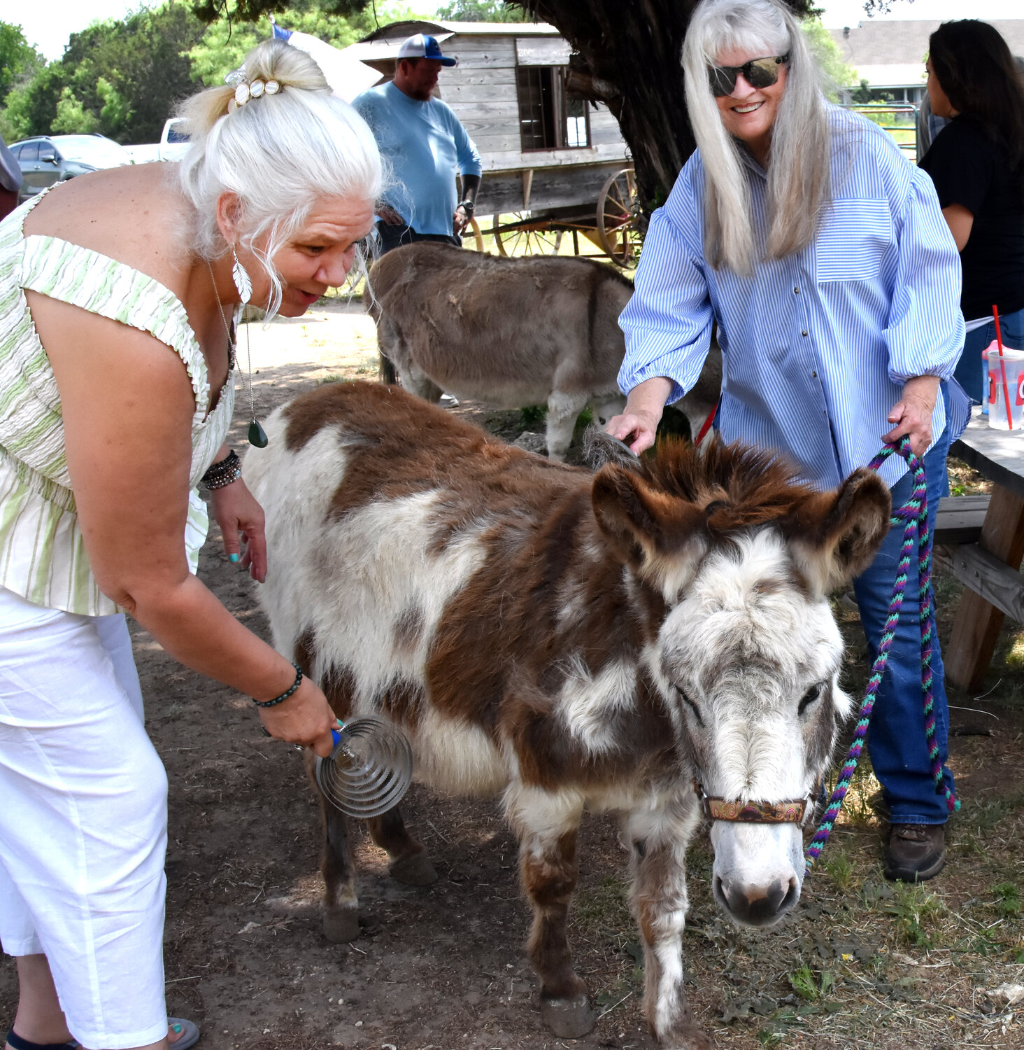 Texas Equine Rescue fundraiser (4).jpg