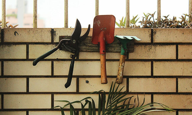 5 Tips for Choosing Gardening Essentials