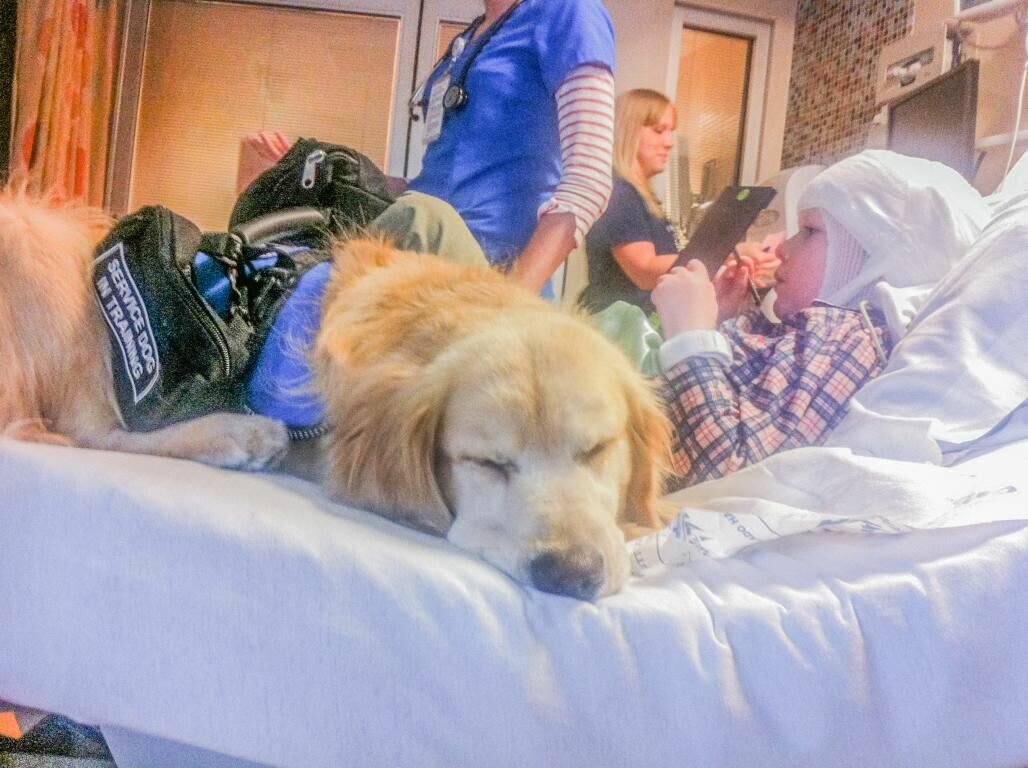 CONSTANT COMPANION: A service dog calms a boy with autism during a medical procedure in a hospital.