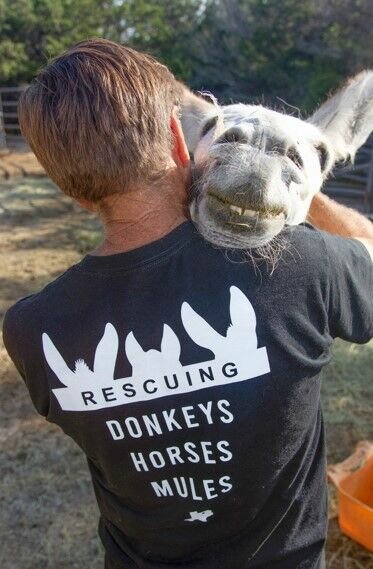 DONKEY LOVE: Tracy Miller, owner of T.E.X.A.S Rescue Inc. — a nonprofit organization established to rescue, rehab and rehome donkeys, horses and mules — gives a warm hug to his 35-year-old donkey, Joseph. 