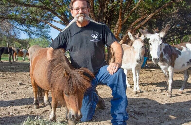 MAKING A DIFFERENCE: Tracy Miller said it’s impossible to save every animal, but they’re making a difference with the ones they have saved. At the time of the interview, T.E.X.A.S Rescue Inc., had 26 animals in their care, from Belgian draft horses, standard-size donkeys and miniature horses and donkeys. 