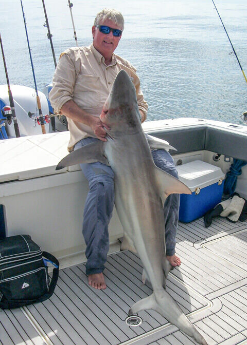 BLACKTIP SHARK: Barry Osborn poses with his official state record Blacktip shark caught in the Gulf of Mexico in 2019. Karen Osborn Photo 