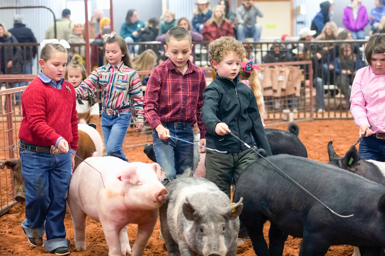 Photo from the previous Hood County Junior Livestock Show in 2023.