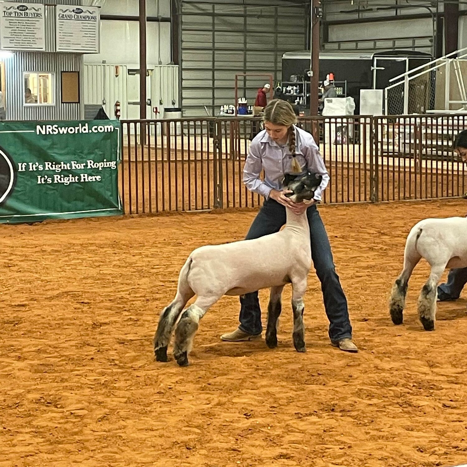 Granbury High School Sophomore Kynlee Greene shows off her lamb in the ring during a competition back in December.
