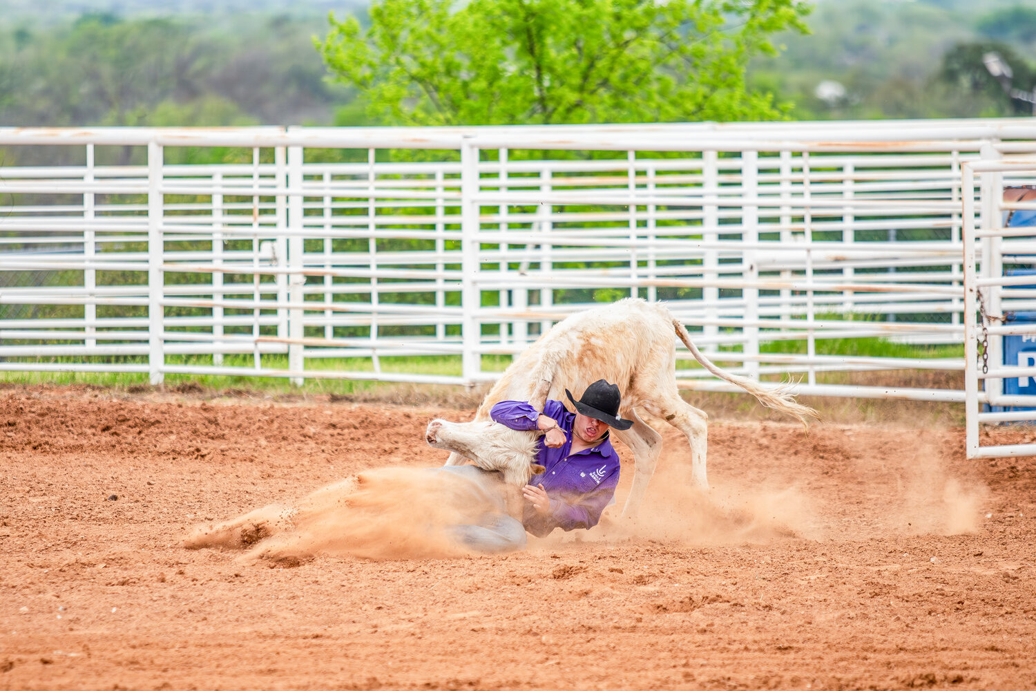 Levi Johnson chute dogging during the Tolar High School Rodeo at the Hood County Reunion  Grounds April 26.