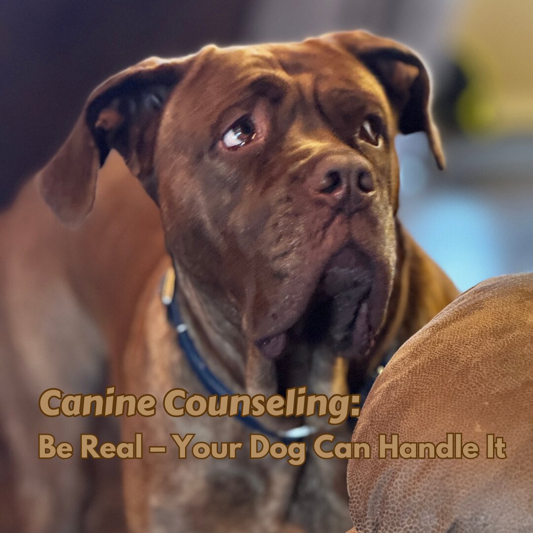 Dogs aren’t asking for an always-happy, perfectly put-together version of you. They just want the real you.