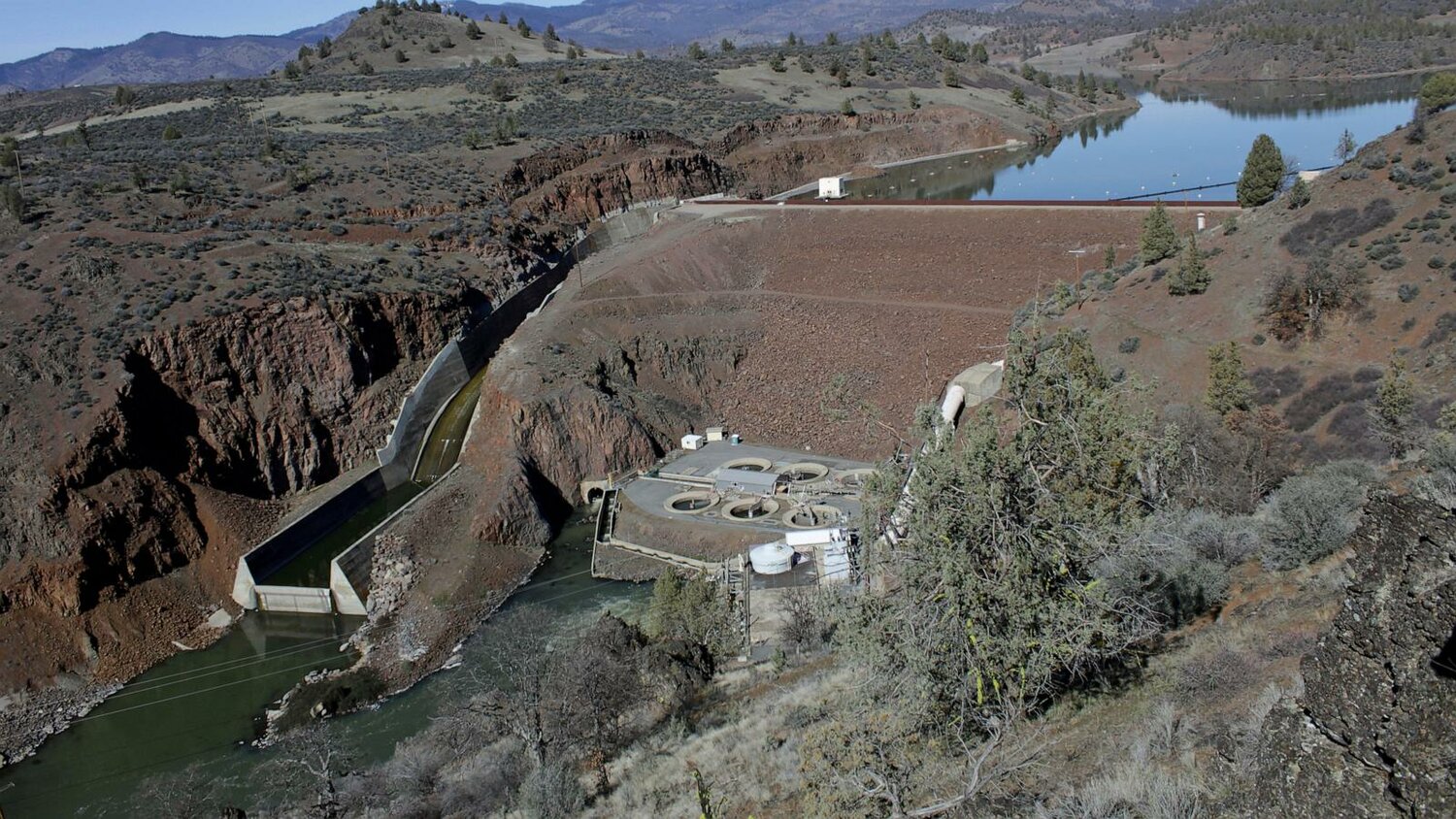 Salmon Swim Freely In The Klamath River For 1st Time In A Century After ...