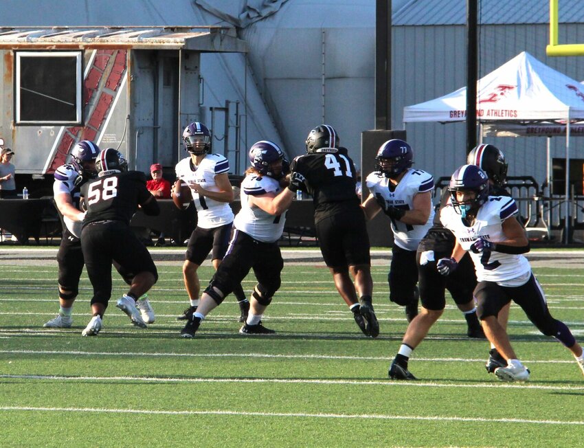 Sophomore quarterback Dylan Hair drops back to pass in last week's loss to Indianapolis. With this weekend's loss to Saginaw, the 'Dogs fall to 0-3.