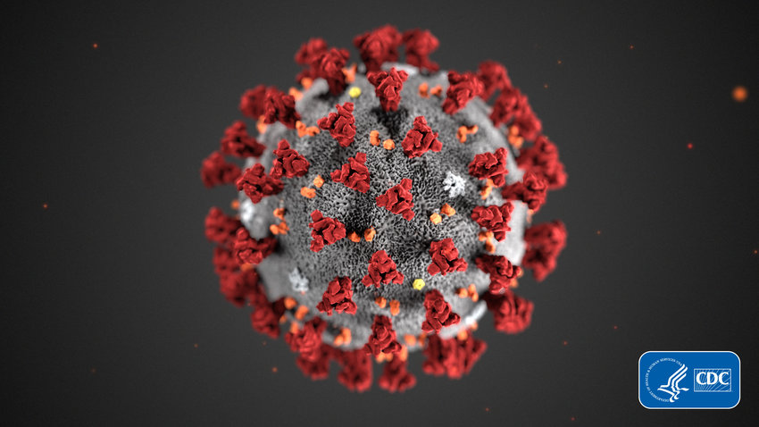 FILE - This illustration provided by the Centers for Disease Control and Prevention (CDC) in January 2020 shows the 2019 Novel Coronavirus (2019-nCoV). Health officials hope to avoid stigma and error in naming the virus causing an international outbreak of respiratory illnesses. But some researchers say the current moniker, 2019 nCoV, which stands for 2019 novel coronavirus, probably won't stick in the public's mind. (CDC via AP, File)