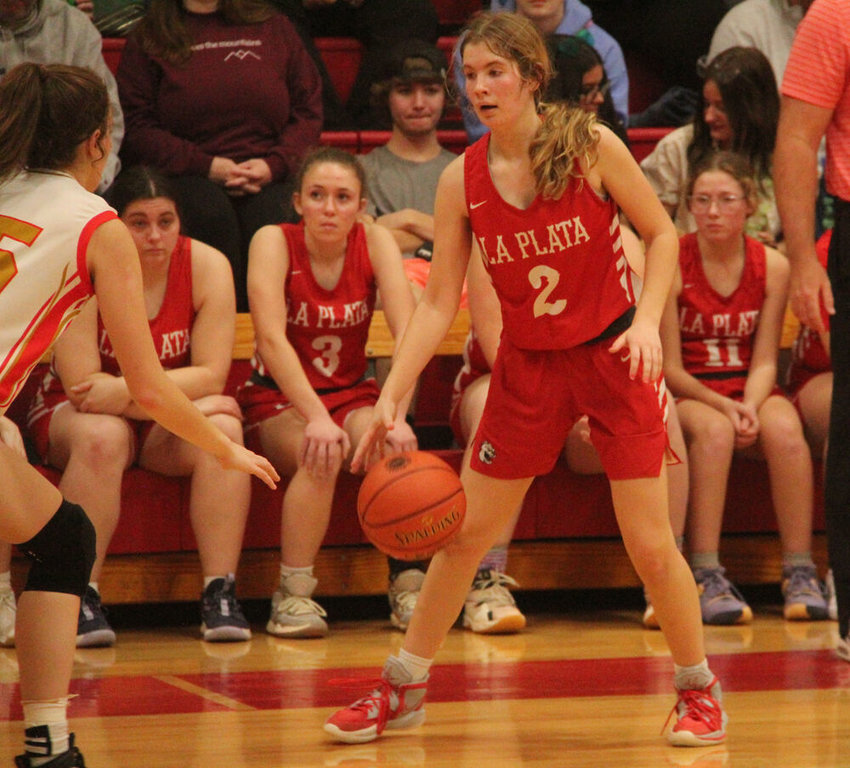 La Plata freshman Layne Mack handles the ball on offense in the game against North Shelby on Feb. 23.&nbsp;