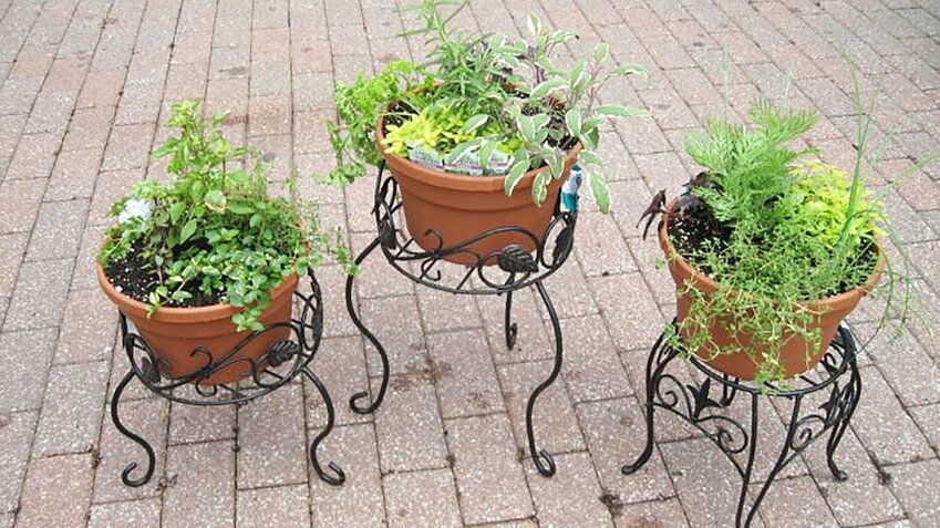 By putting several pots of herbs together, gardeners can take advantage of their aesthetic value as well as put them to use in the kitchen. 