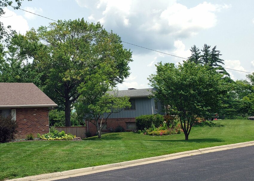 Signs of disease can be seen in this oak tree immediately to the right of the brick house. MU Extension&rsquo;s Plant Diagnostic Clinic, in partnership with the Missouri Department of Conservation, will offer free testing for all common oak tree diseases in 2024.&nbsp;