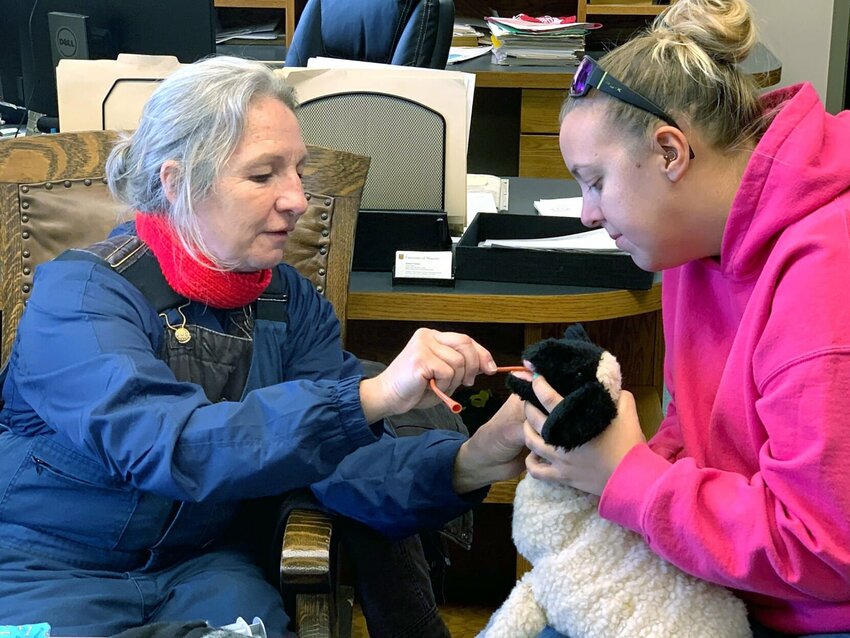 Inserting an esophageal feeding tube into a toy lamb during a small ruminant breakout session at a previous Pearls of Production conference. 