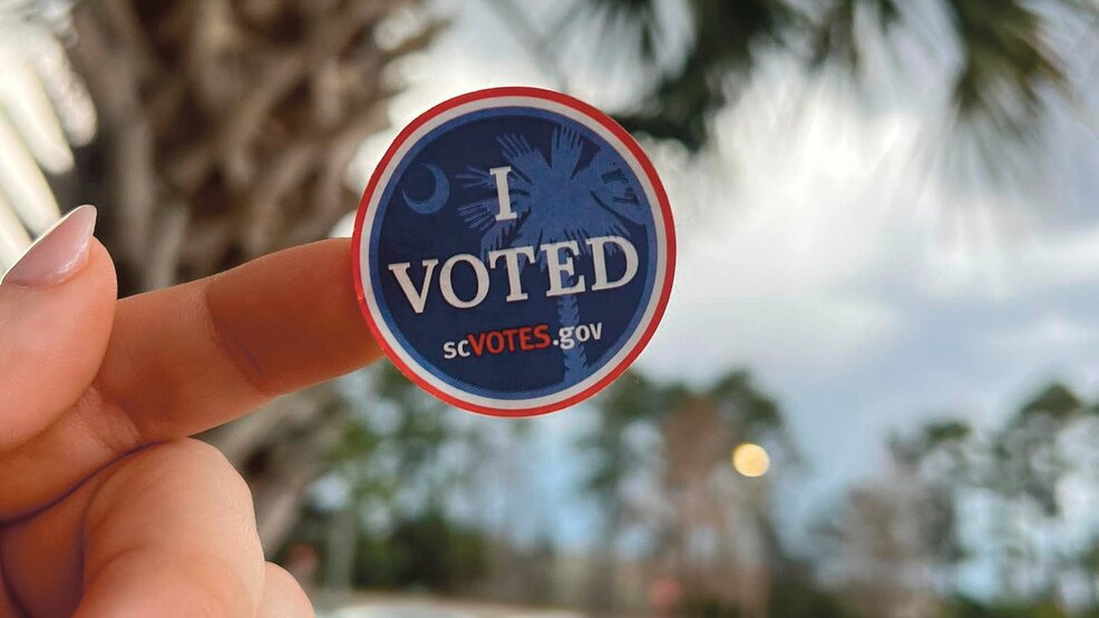 Clarendon tops 3,000 early voters as South Carolina shatters turnout records