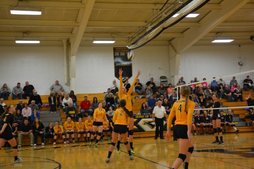 Algoma's Anna Dier reaches for the ball during volleyball's "War on the Shore."