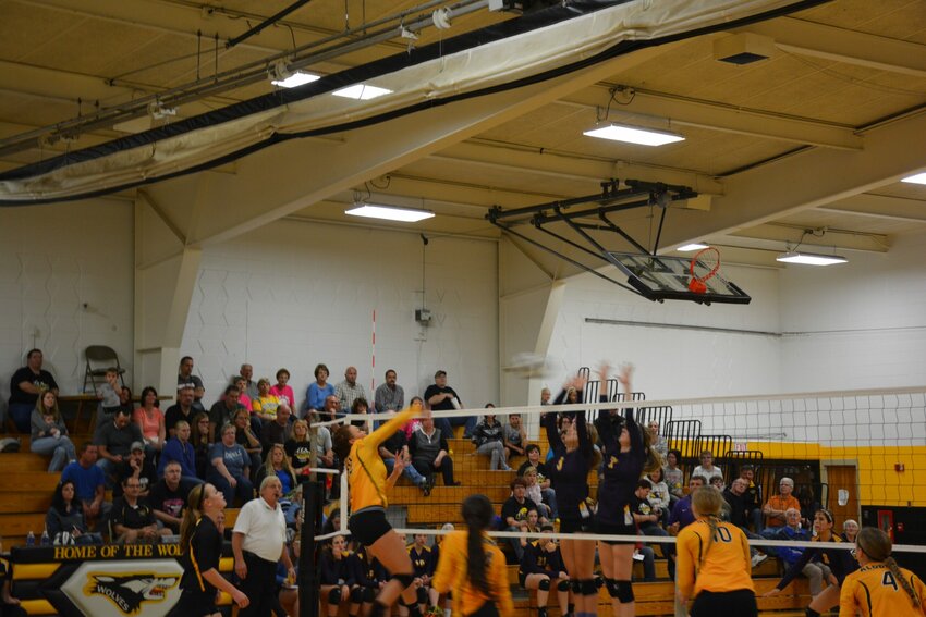The Wolves' Katelyn Williams smashes the ball over the net to score a point for Algoma.