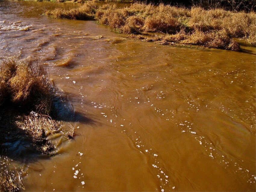 The Kewaunee River after a heavy rain.  Farmers are failing to use buffer strips to control soil and manure runoff, says Dean Hoegger with the Clean Water Action Council.