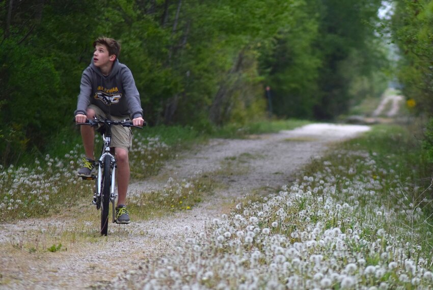 About 30 of the Ahnapee State Trails nearly 50 miles are located within Kewaunee County. There's no charge for using the trail, but participants are encouraged to partner with the Friends of the Ahnapee State Trail. Annual memberships, business sponsorships and volunteer opportunities are available. Visit www.ahnapeetrail.com for more information.