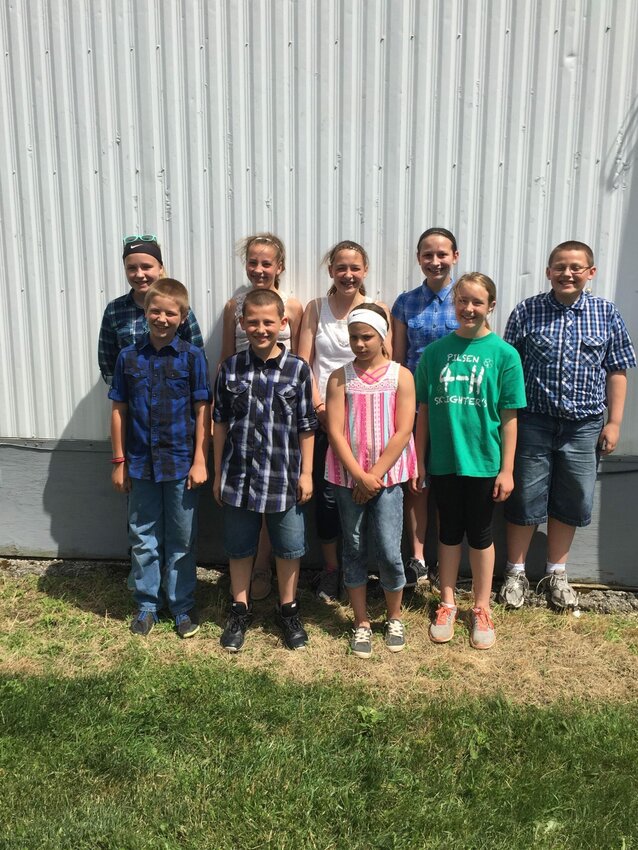 The Kewaunee County 4-H junior dairy judging team placed second in the District 4-H Dairy Judging Contest in Beaver Dam and advanced to the state judging contest July 17. From left to right, front row, are Jacob Treml, Lucas Ledvina, Jadelyn Kroll and Katie Ledvina. Left to right, back row, are Sami Treml, Mercedes Kroll, Brianna Paye and Shawn Ledvina.