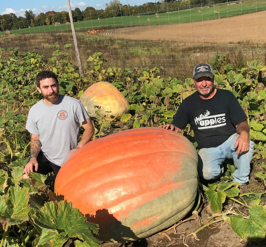 Bill Roethle, right, shows off a giant pumpkin that as of Oct. 5 was still growing in its patch under Roethle's care at his Hillside Apples in Casco. Roethle entered it in the giant pumpkin contest at Mishicot Pumpkinfest on Oct. 16, where it weighed in at 940.5 pounds, good for eighth place. At left is Matt Fay of Algoma, who encouraged Roethle to get into the world of giant pumpkin growing.