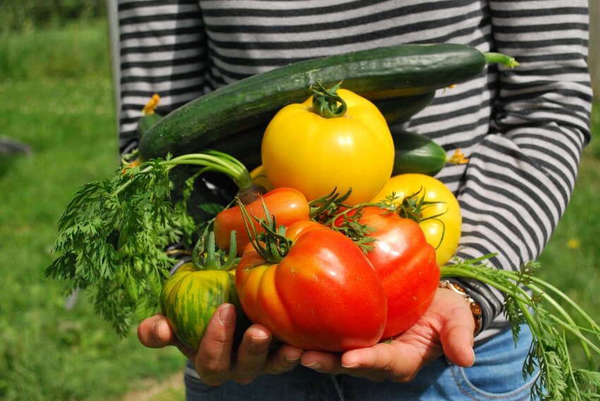 Farmers market vouchers are redeemable at select stands at local farmers market for fresh fruits and vegetables.